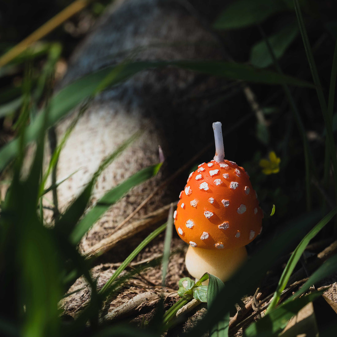 Mini Mushroom Candle Set – Southlake gifts