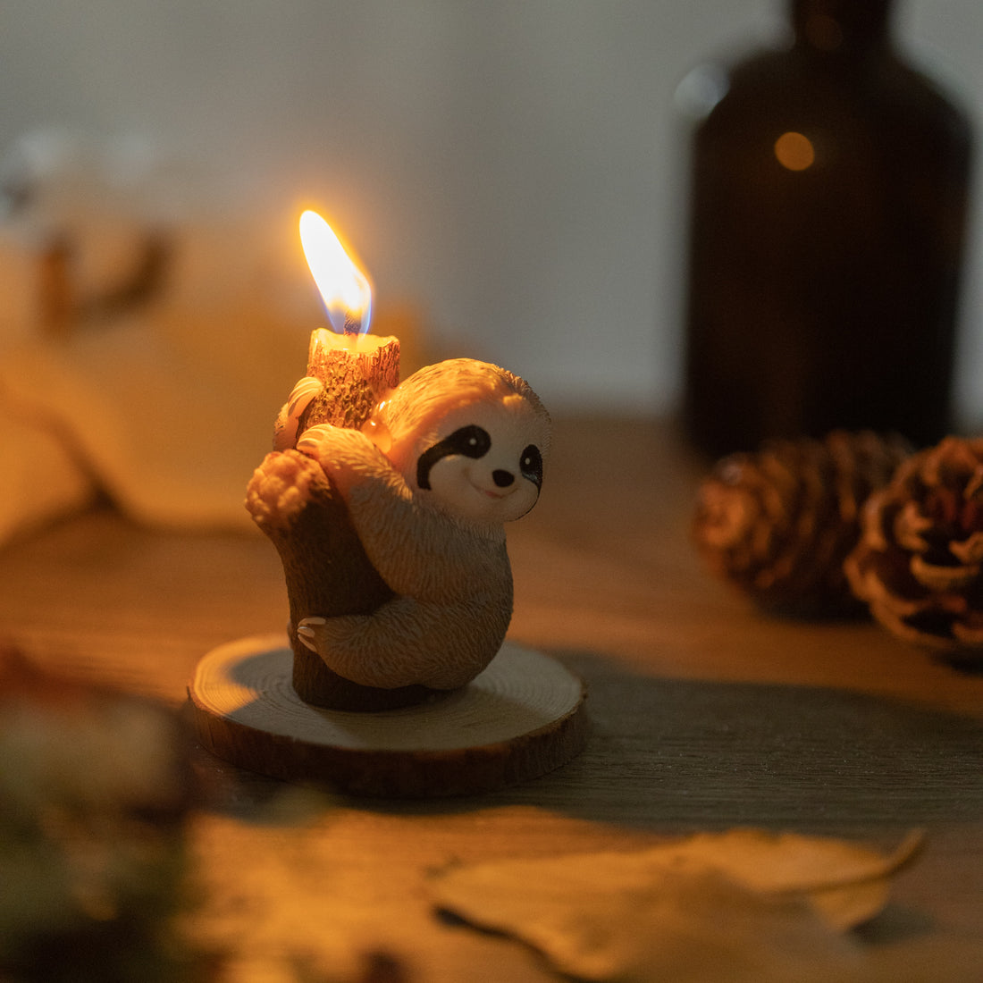 Mini Mushroom Candle Set – Southlake gifts